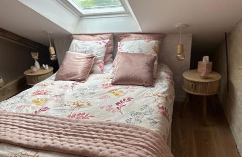 L'arbre de soie Futuroscope Albizia - Foto 22