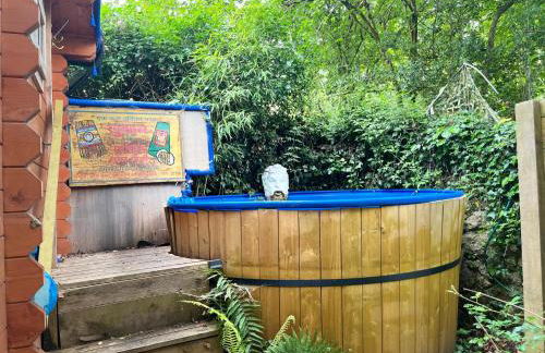 Retro Lodge nr Dartmoor with hot tub & opt sauna - Foto 73