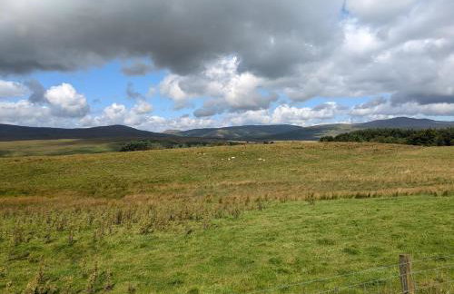 Pet Friendly - Lodge at Riverview Holiday Park - Foto 29