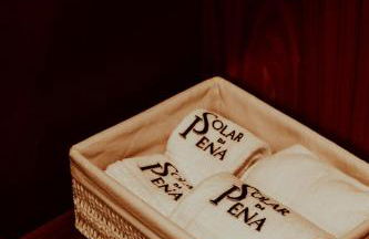 Quinta das Areias - Solar da Pena - Foto 55