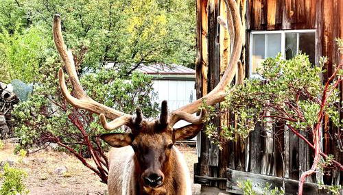 Hidden Gem Retreat in the Heart of Payson - Foto 4