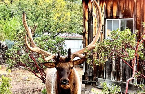 Hidden Gem Retreat in the Heart of Payson - Foto 4