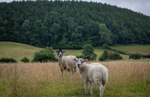 Rawcliffe House Farm Studios, Peaceful North York Moors Retreat - Foto 76