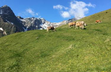 Agritur Ruatti - Foto 28