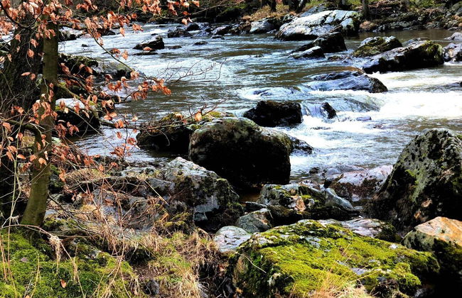 Vintage Chalet in Sougné-Remouchamps near Forest - Photo 29