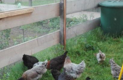 Adersberger Annemarie - Ferienwohnung - Foto 11