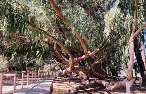 Casa Alegriá - 3 bedrooms villa with private pool - Foto 21