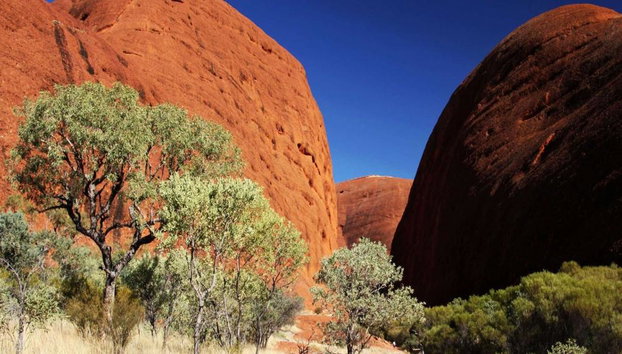 Kata Tjuta and Valley of the Winds - Full-Day Small Group Tour - Photo 5