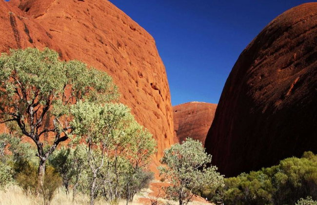 Kata Tjuta and Valley of the Winds - Full-Day Small Group Tour - Photo 5