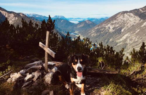 Ferienwohnungen Birmoser inkl. Chiemgaukarte - Foto 3