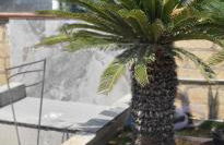 La Casetta di Camelia - Foto 60