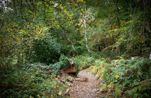 Amos Lodge Deluxe Accommodation - Photo 60