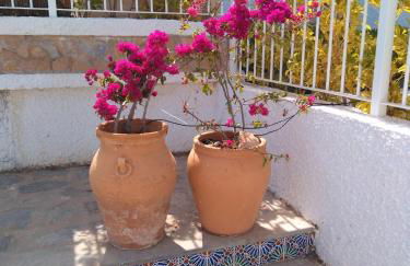 Apartamento ROMERO Cabo Roig, solárium opcional - Foto 25