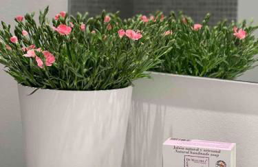 Idyllic 6 bed villa stunning sea view salt pool - Foto 39