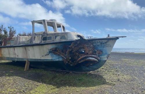 Casa do Octavia - Photo 13