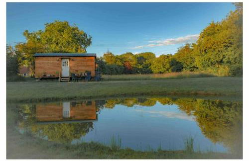 Mountbatten Shepherds hut & Buckhurst Shepherds hut - Foto 3