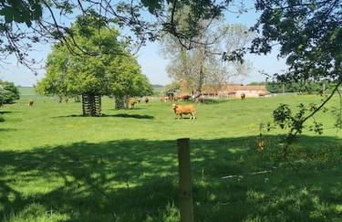 Bainvalley Cottages, Beautiful North Cottage - Foto 33