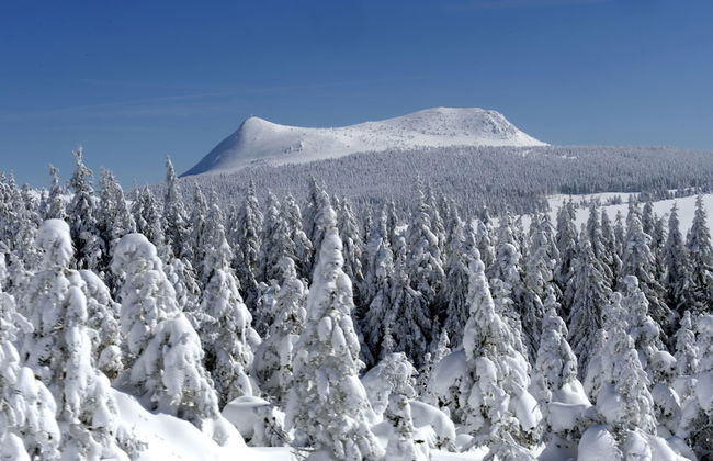 VVF Haute-Loire Les Estables - Foto 19