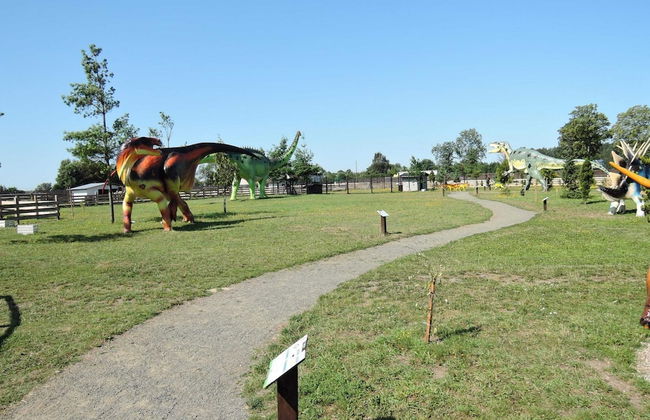 Comfortable Studio Close to the sea - Photo 31