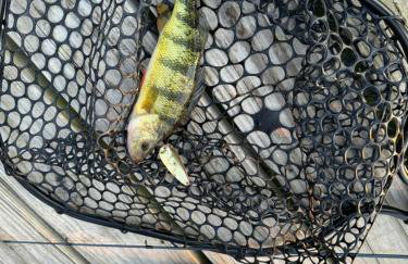 Cozy Lakefront Cottage - Foto 74