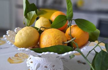 Holidays Homes The dream - Foto 35