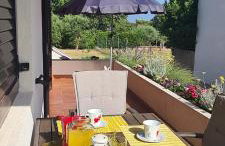 CAPTAIN MIRO - Foto 4