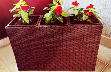 Studio apartment Meli - Foto 41