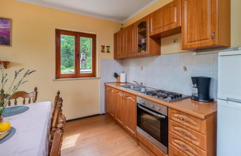 Nice Home In Ravna Gora With Wifi - Foto 9