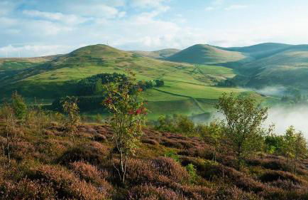 Corrie Lodge, Glendevon - Foto 33