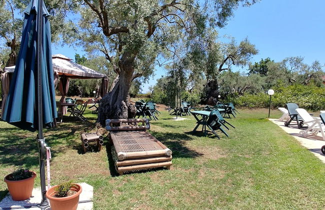 La Piana degli Ulivi - Foto 17