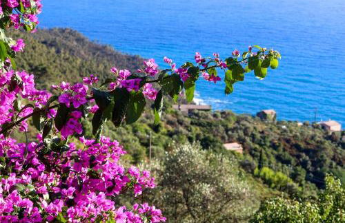La notte sull'isola - Montaretto - tra il cielo e il mare - Foto 74