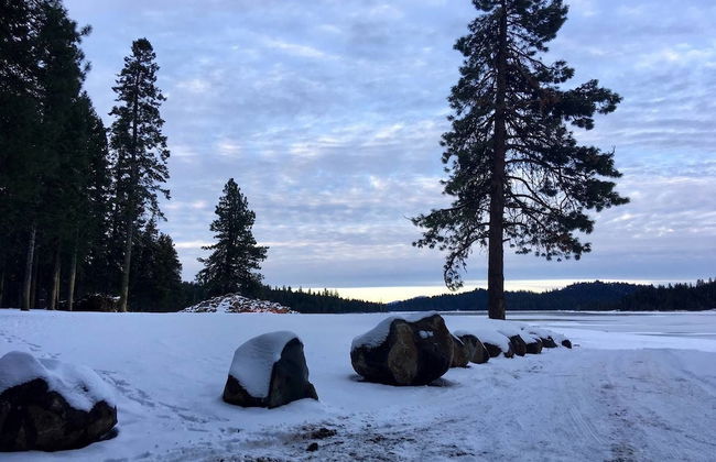 Mountain Pine Cabin - Sleeps 6 - Pet Friendly - Foto 19