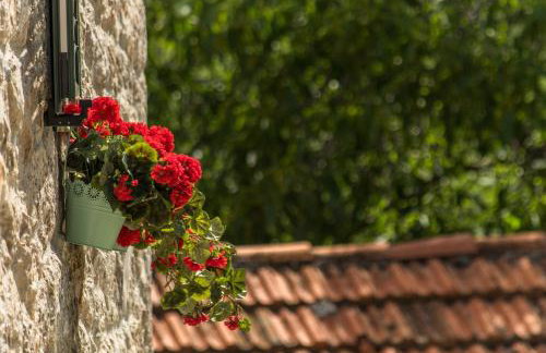 Holiday Home Godinj - Foto 34