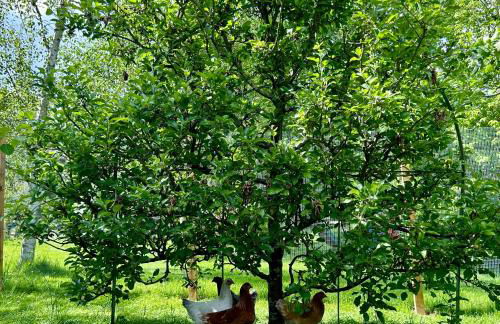 The Old Workshop, Wadhurst - Foto 61