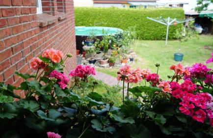 Pension Limone Ferienwohnung 2 - Foto 9