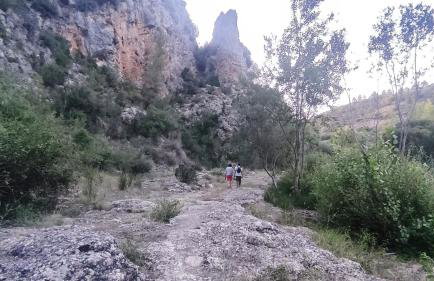 Casa Las Violetas - Photo 35