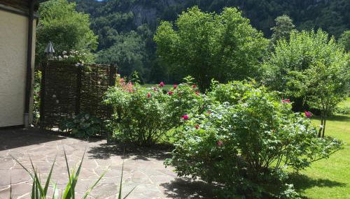 Am Schlierbach - Foto 4