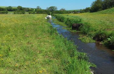 Lile Cottage at Gleaston Water Mill - Foto 14