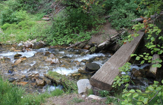 Cottage on the Stream - Photo 19