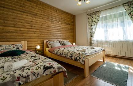 Zimski san - Foto 19