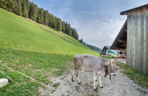 Tonigbauernhof Enzian - Foto 28