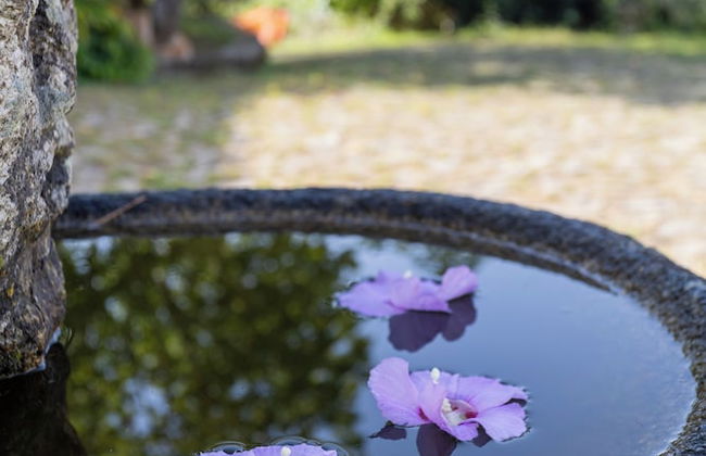 Quinta da Comenda - Casa da Bica - Foto 4