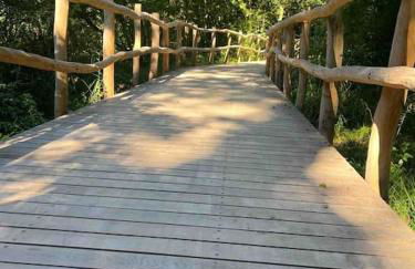 Ferienwohnung Loft Schwielowsee mit Sauna - Foto 6