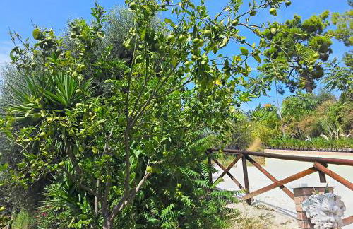 Agriturismo MonteMaggio - Foto 22