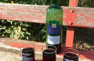 Ferienwohnung Grüner Horizont - Foto 17