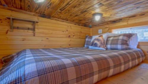 Shiners Shack - Foto 4