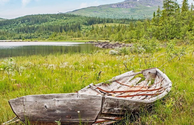 4 Person Holiday Home in Jarpen - Foto 3