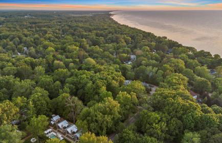 Townie 3 - The Moss by Juniper Holiday + Home - Foto 27