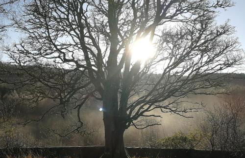 Beautiful Listed Mansion with incredible woodland views - Photo 63