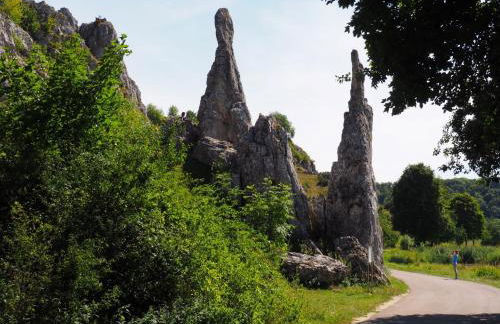 Ferienwohnung Pension Waldblick - Foto 54